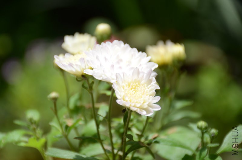 201606052 043.JPG