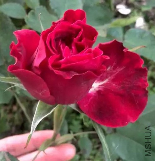 11_����.jpg