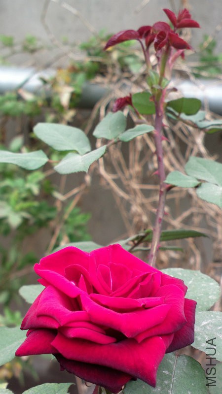 2014-01-25-3843.jpg