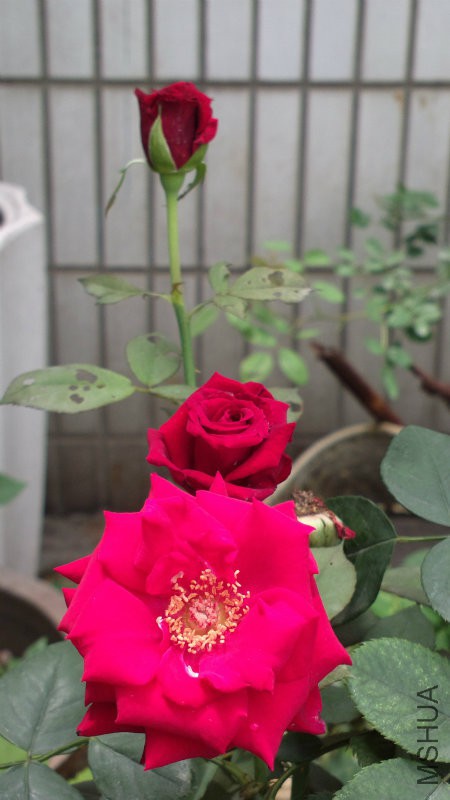 2014-05-02-6332.jpg