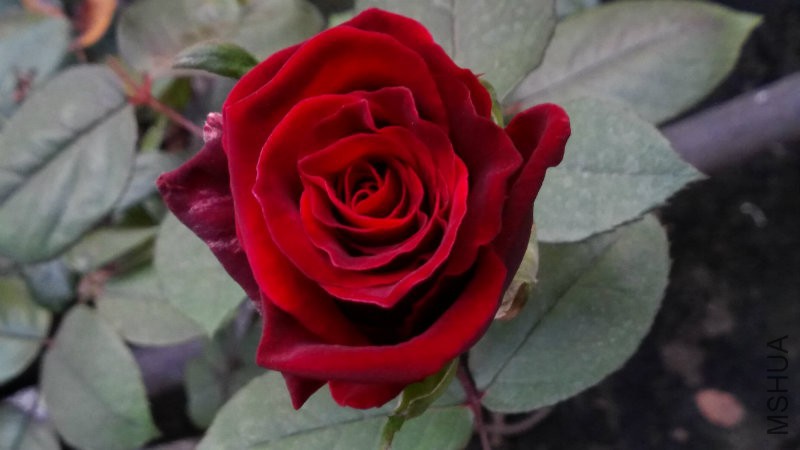 IMG_20150102_173722.jpg