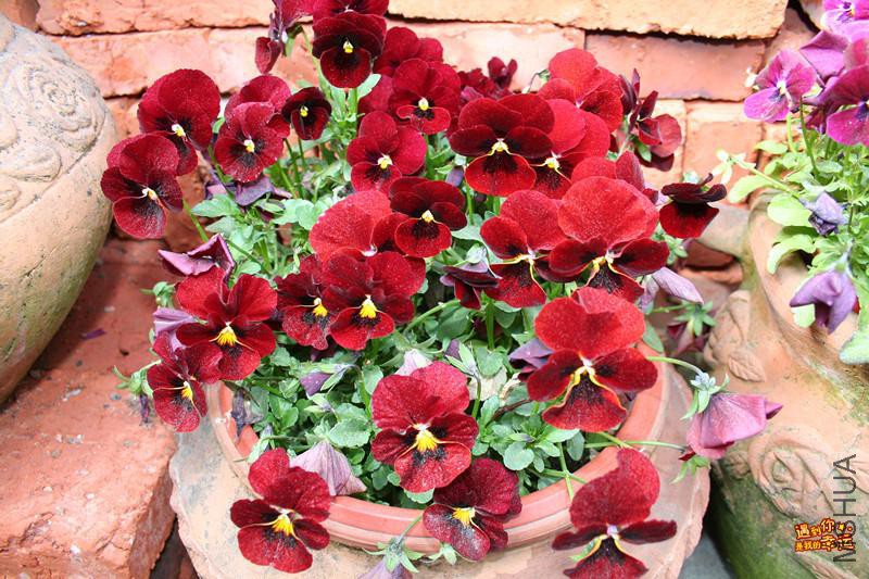 ��Ƭ 032_����.jpg