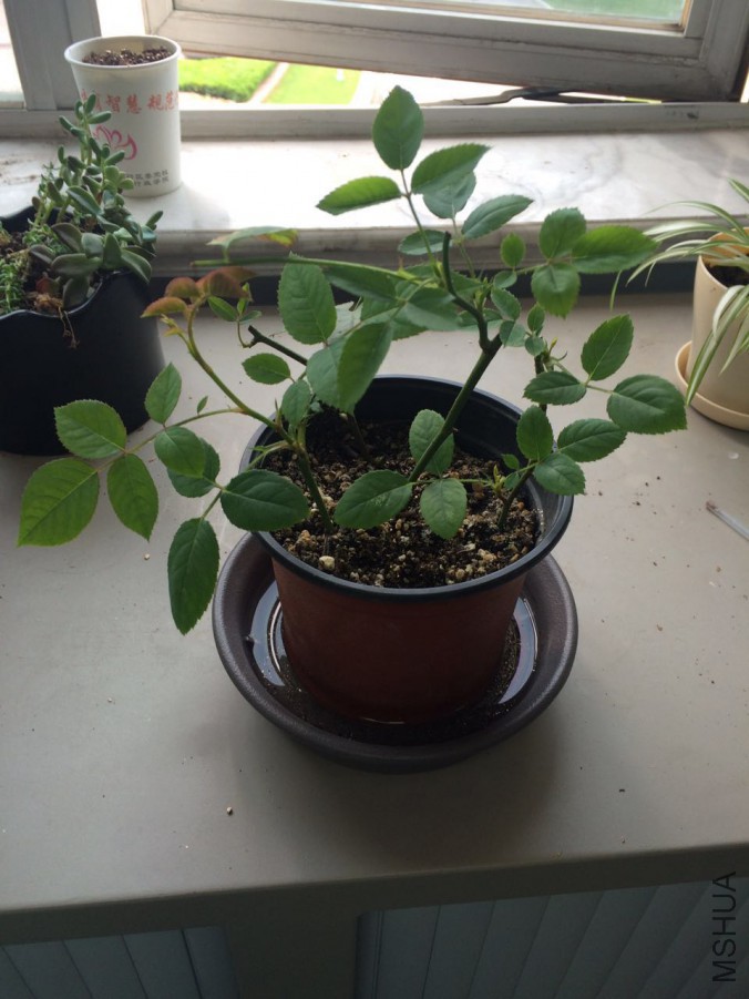 ��ֵǰ��Ǥ����