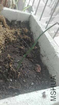 ��ֻʣ���һ��