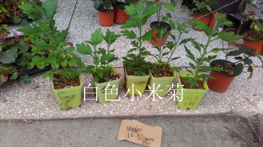 QQͼƬ20160607171421.jpg