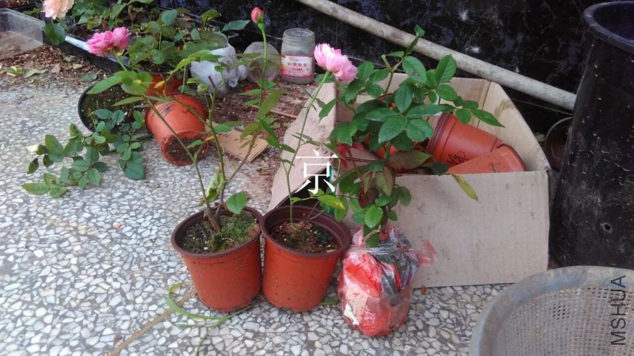 QQͼƬ20160607171424.jpg