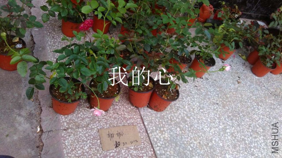 QQͼƬ20160607171434.jpg