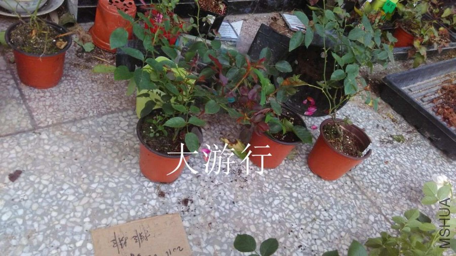 QQͼƬ20160607171507.jpg