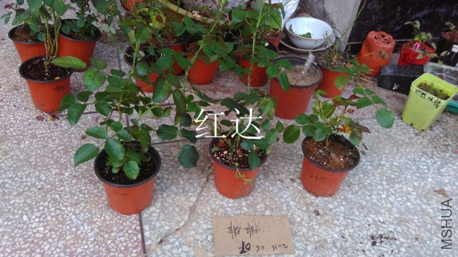 QQͼƬ20160607171643.jpg