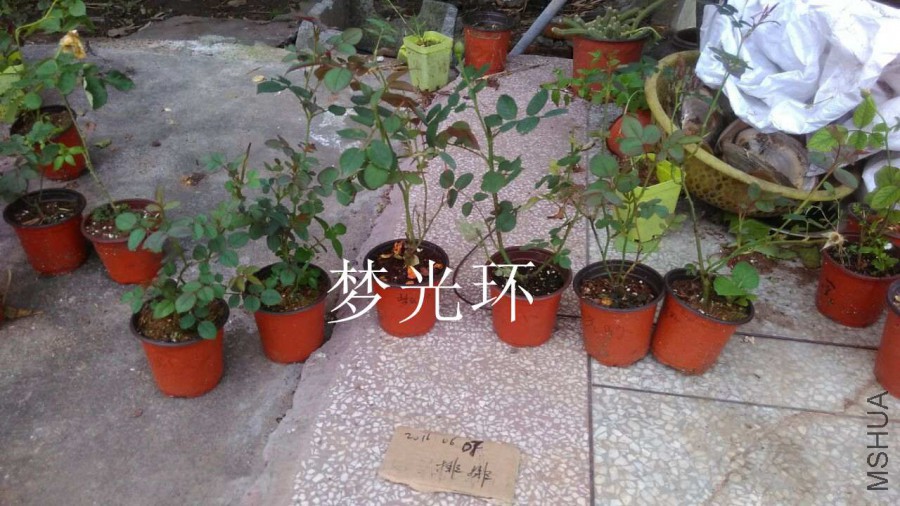 QQͼƬ20160607171514.jpg