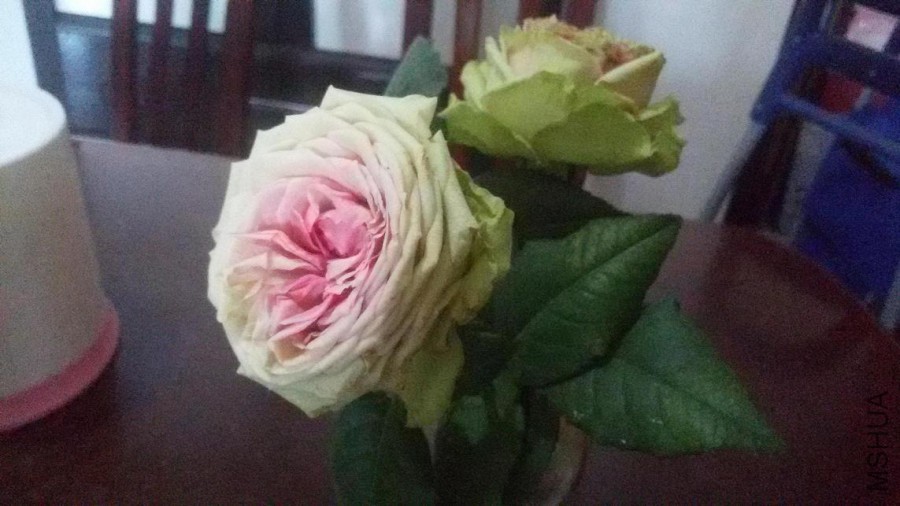 ˵�ǻ������������񣬿�ȫ�˲���