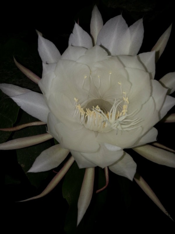 20160607_201438.jpg