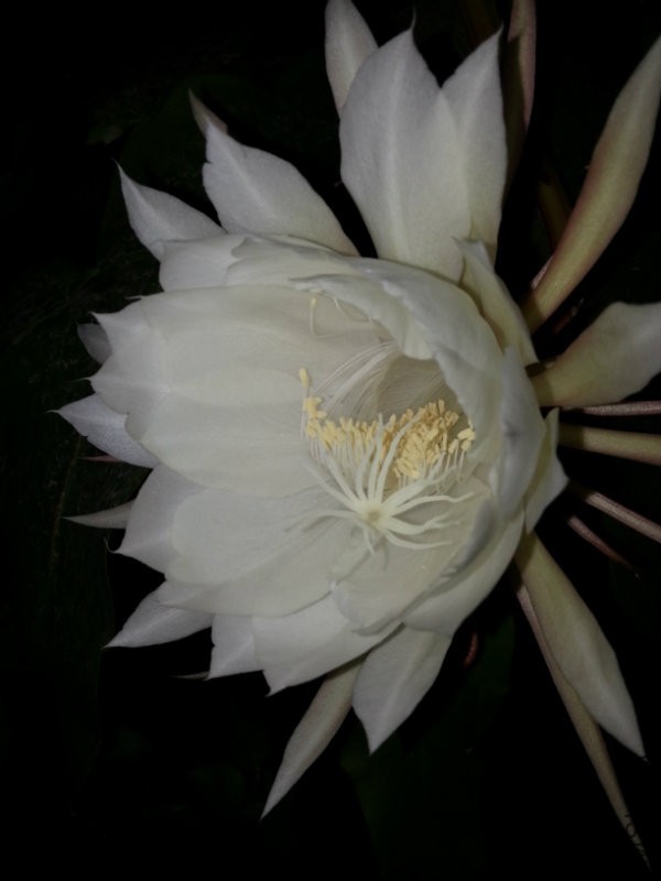 20160607_201543.jpg