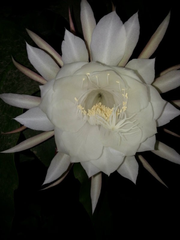 20160607_202647.jpg