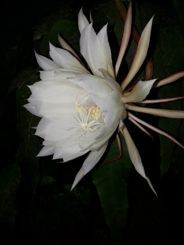 20160607_202702.jpg