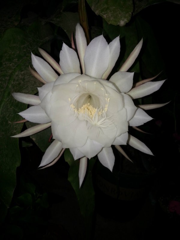 20160607_205015.jpg