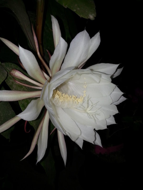20160607_205218.jpg