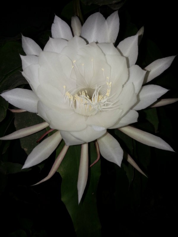 20160607_205235.jpg