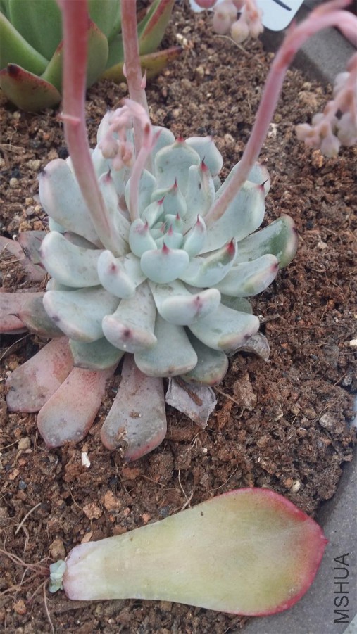 20150405_162141.jpg