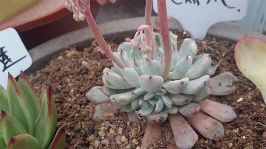 20150405_162153.jpg