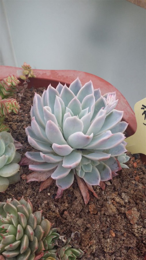 20150405_162209.jpg