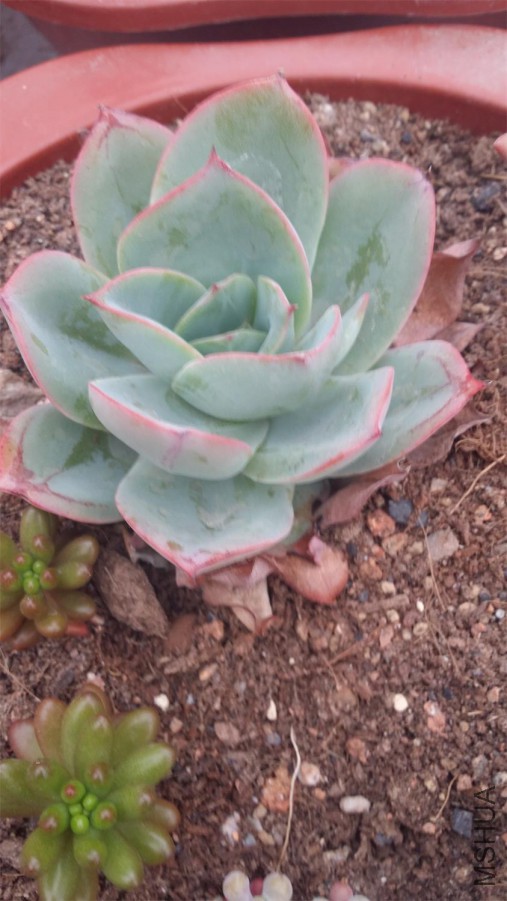 20150405_162304.jpg