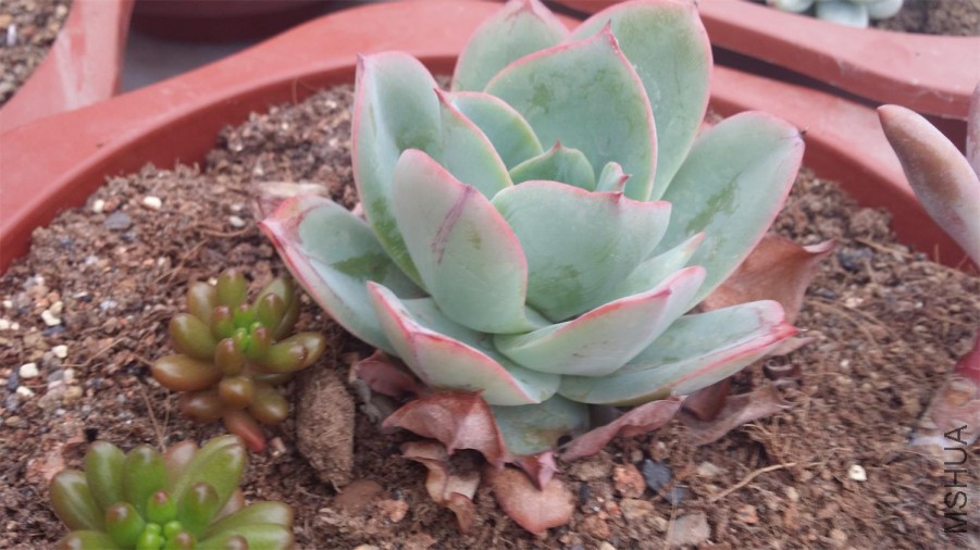 20150405_162318.jpg