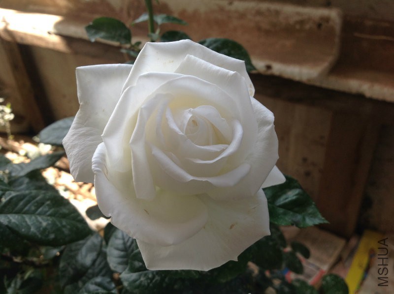 2016-04-07 102331.jpg