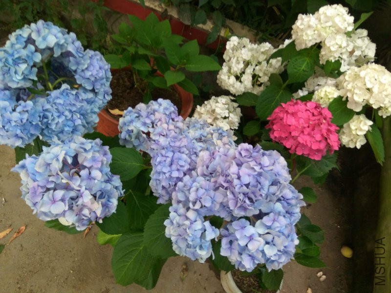 QQ图片20160610154012.jpg