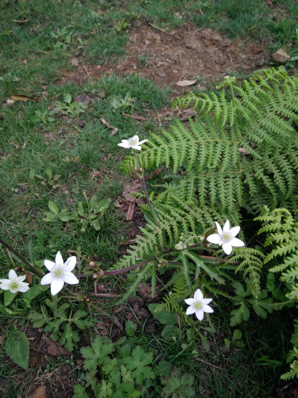 IMG20160609132227.jpg