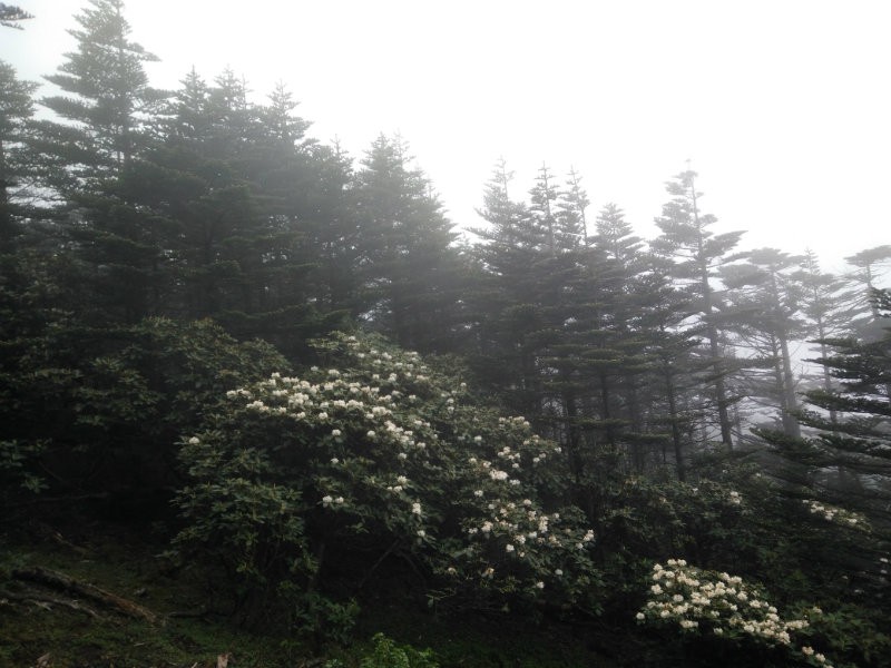 IMG20160609144309.jpg