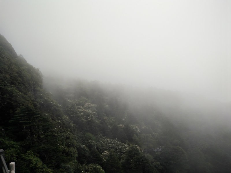 IMG20160609150540.jpg