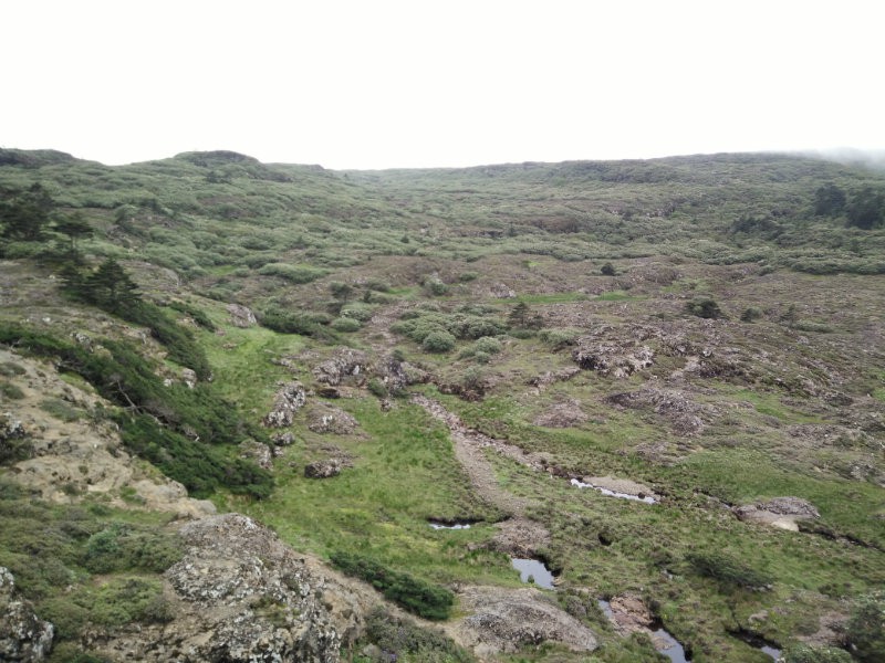 IMG20160609152840.jpg