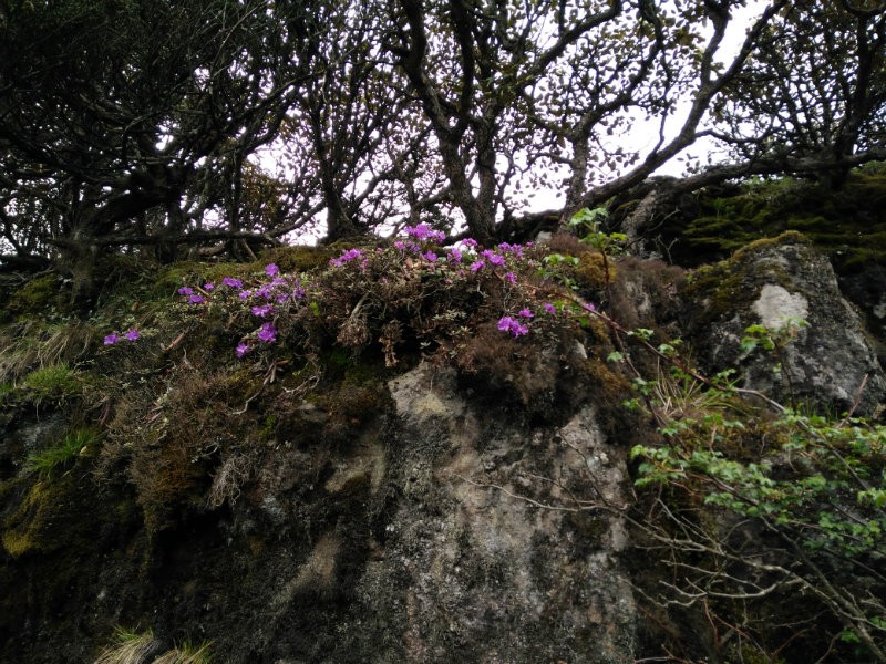 IMG20160609154137.jpg