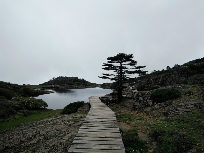 IMG20160609155145.jpg