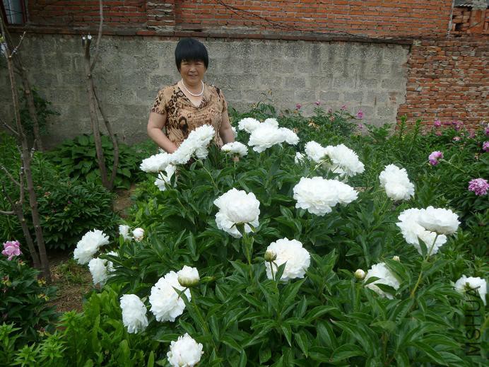 P1050554.JPG