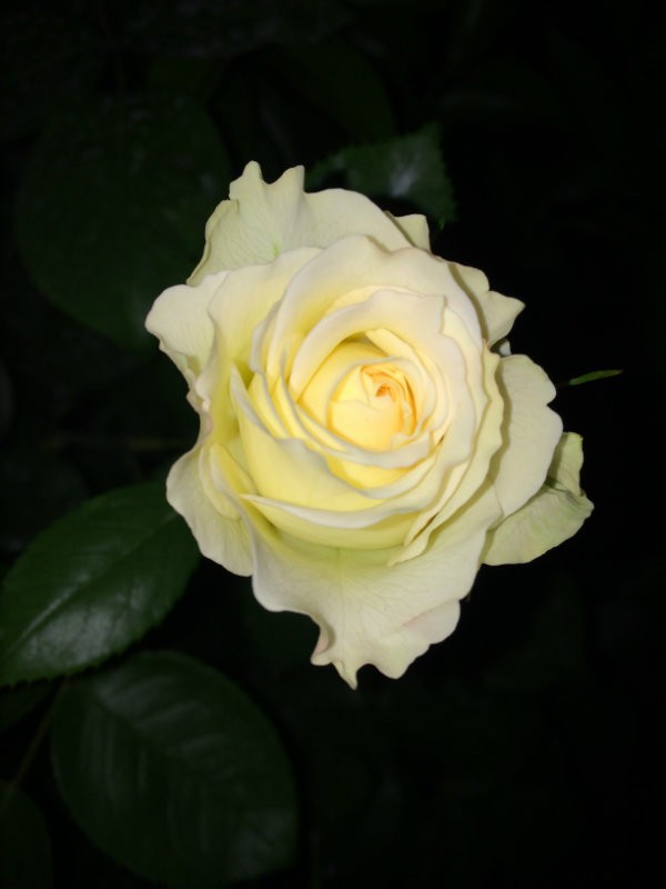 IMG_0875.JPG