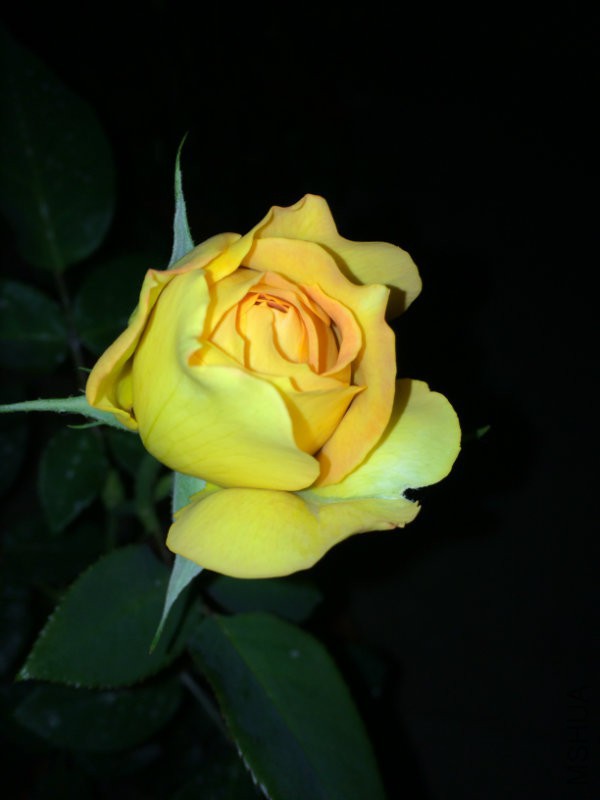IMG_0860.JPG