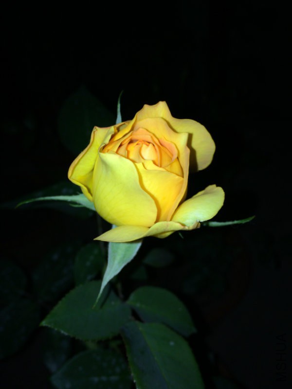 IMG_0872.JPG