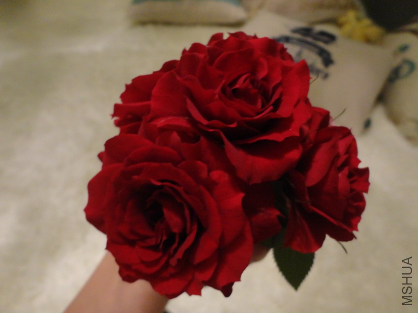 ����ʲô����Ҳ��֪��