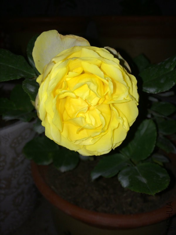 IMG_0799.JPG