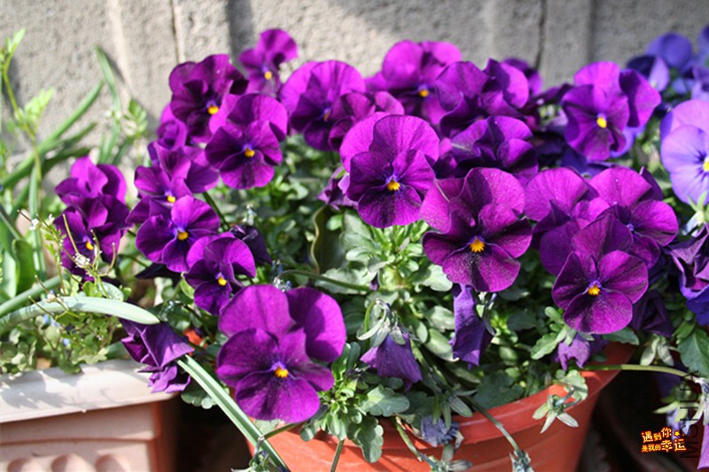 ��Ƭ 038_����.jpg