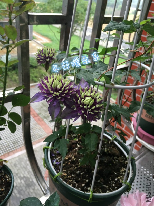 psb (9)_�?��.jpg