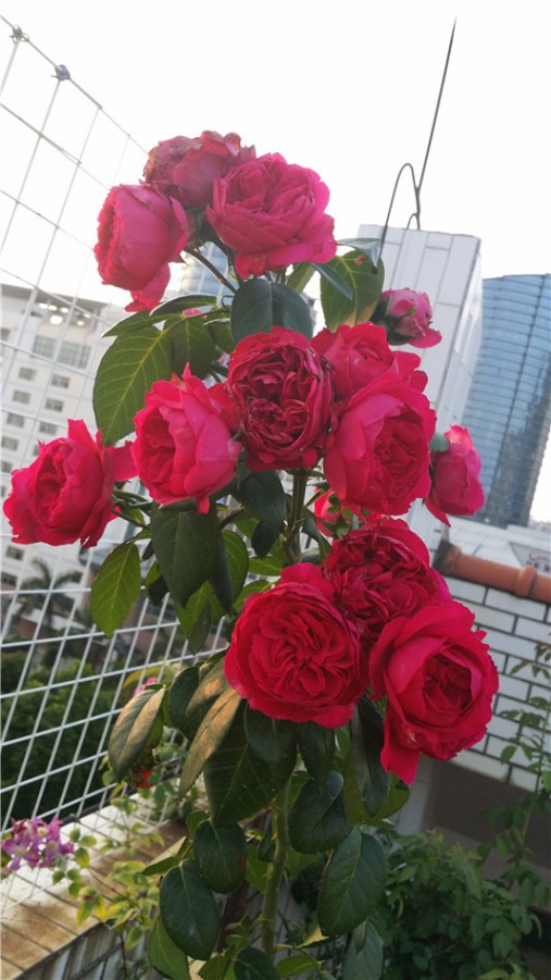 20160608����2.jpg