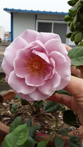 20160612_092204.jpg