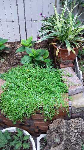20160610_081254.jpg