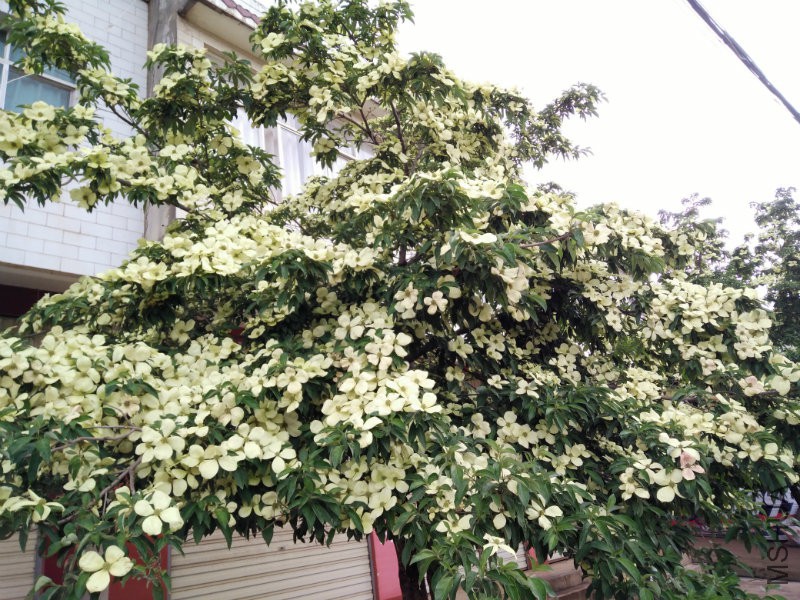 IMG20160609112352.jpg