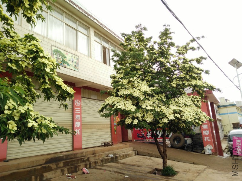 IMG20160609112417.jpg