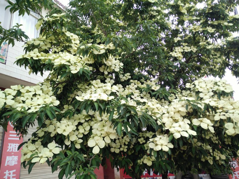 IMG20160609112435.jpg