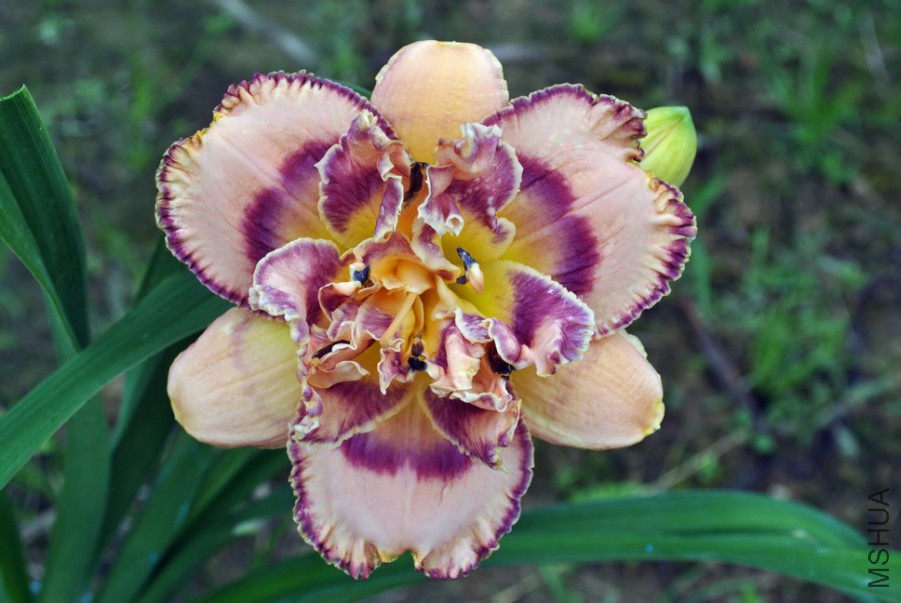 F1��1055ˮƿ��1 (5).jpg